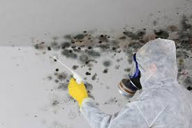 Mold Remediation for Vacation Homes in Archer, FL